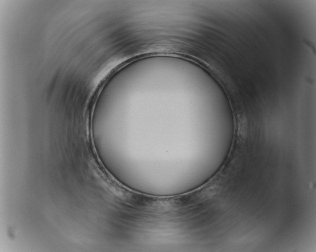 X0000103491078200809261945