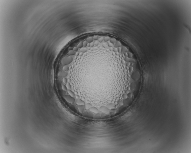 X0000103491079200809261945