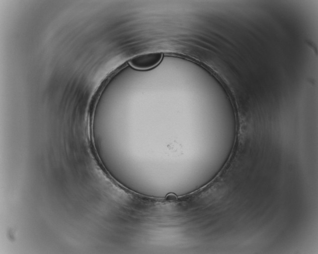 X0000103491080200809261945