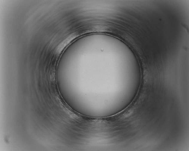 X0000103491081200809261945