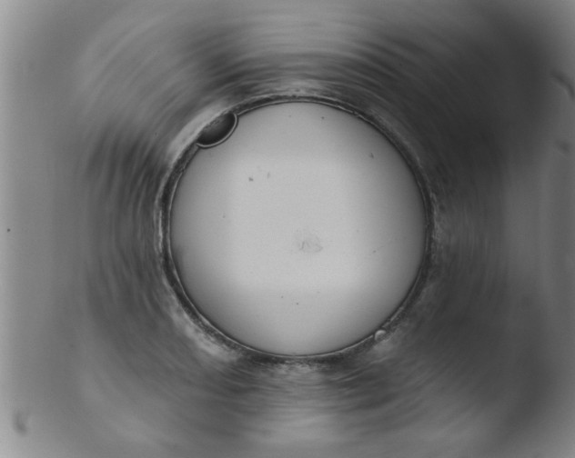 X0000103491082200809261945