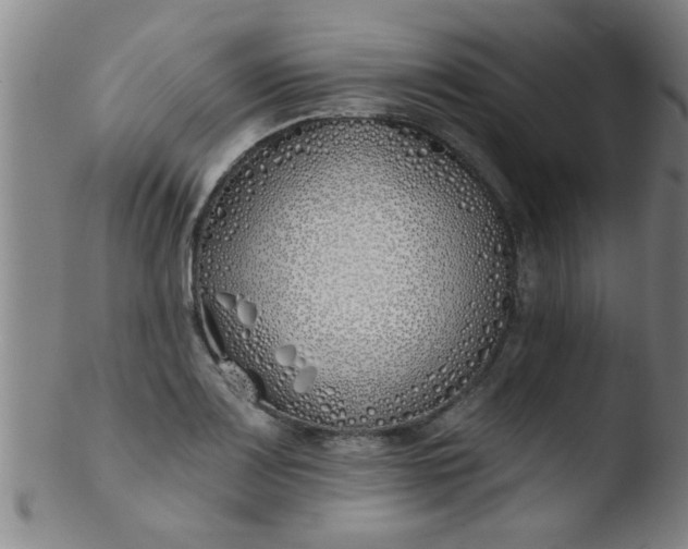 X0000103491083200809261945