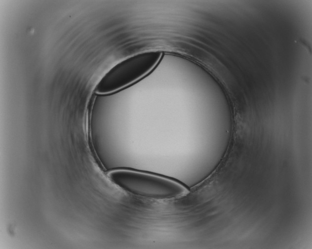 X0000103491084200809261945