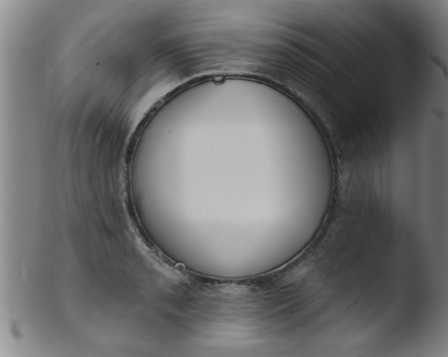 X0000103491085200809261945