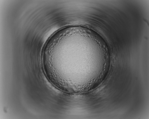 X0000103491087200809261945