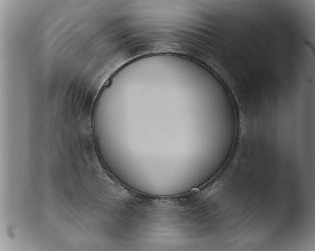 X0000103491089200809261945