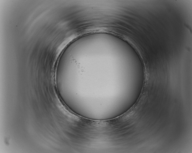 X0000103491090200809261945