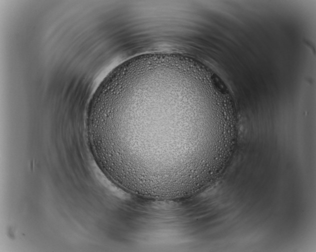 X0000103491091200809261945