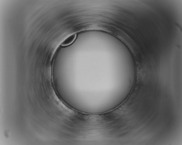 X0000103491092200809261945