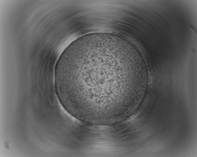 X0000103491095200809261945