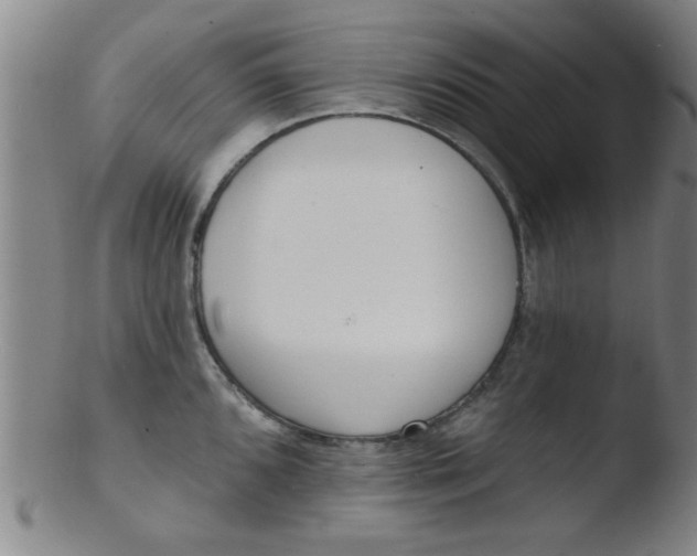 X0000103491096200809261945