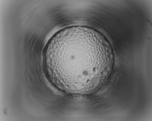 X0000103491099200809261945