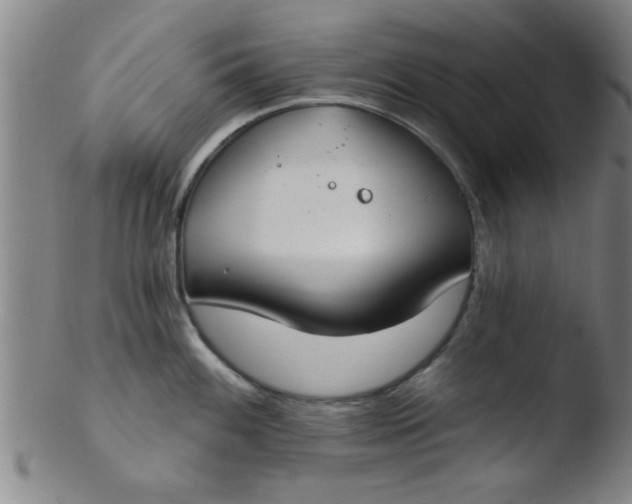 X0000103491100200809261945