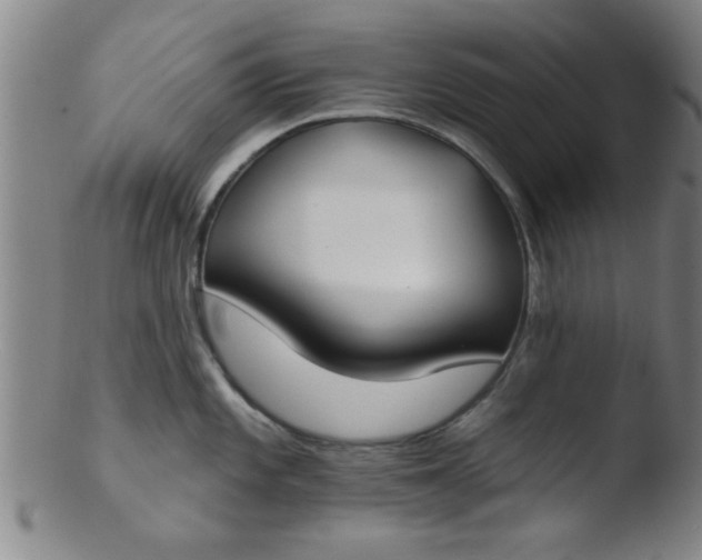 X0000103491101200809261945