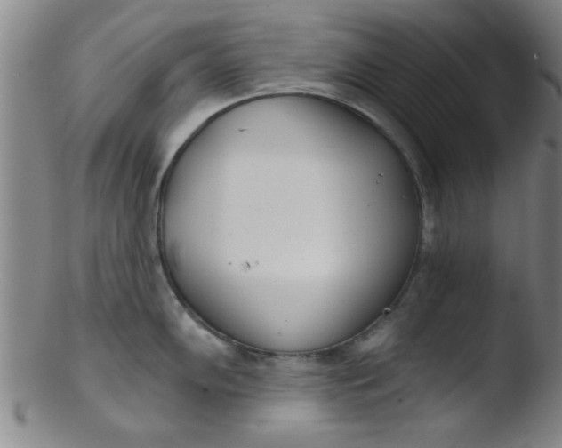 X0000103491102200809261945