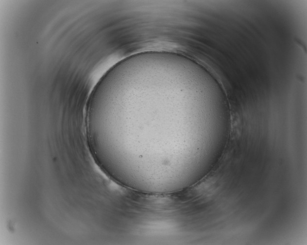 X0000103491103200809261945