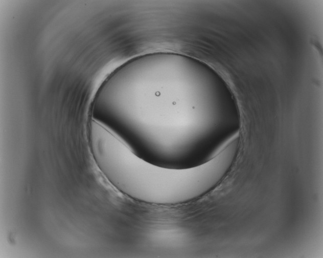 X0000103491104200809261945