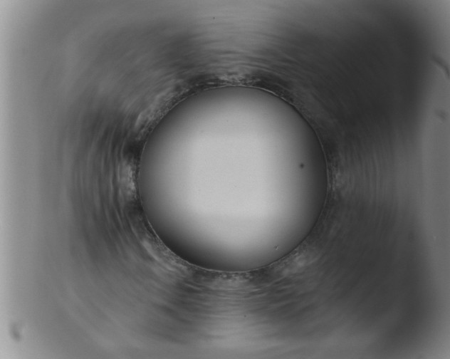 X0000103491106200809261944