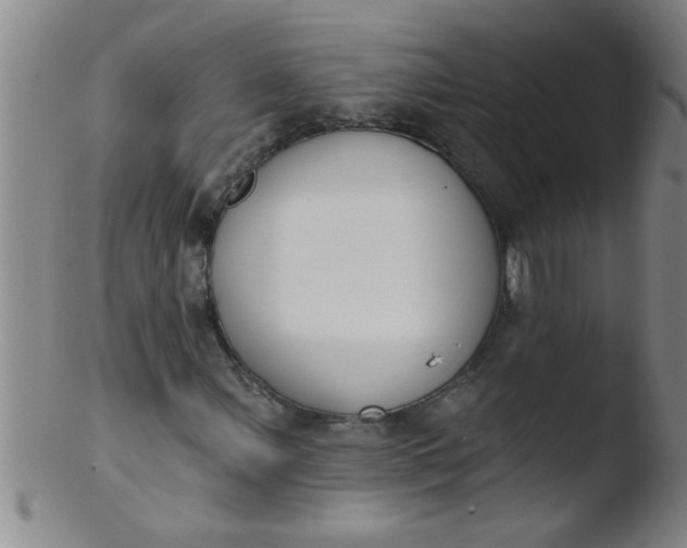 X0000103491107200809261944