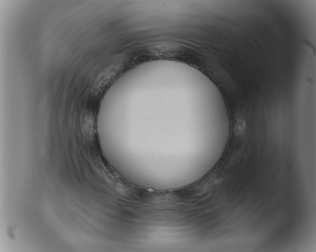 X0000103491108200809261944