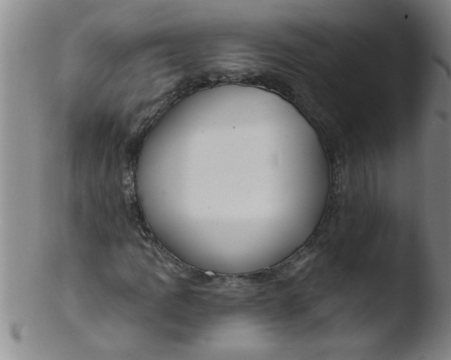 X0000103491109200809261944