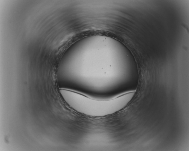 X0000103491110200809261944