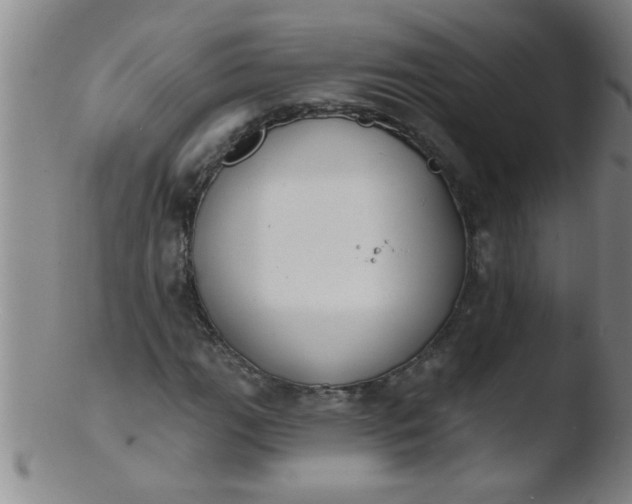 X0000103491111200809261944