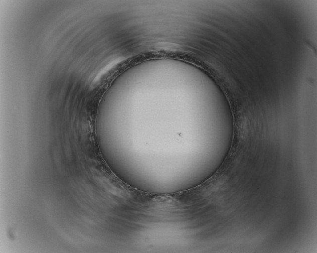 X0000103491112200809261944