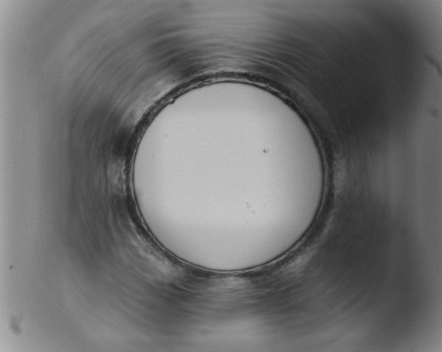 X0000103491113200809261944