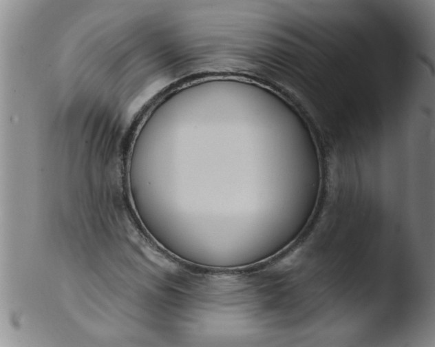 X0000103491114200809261944