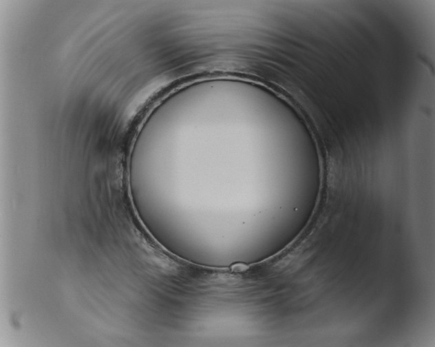 X0000103491115200809261944