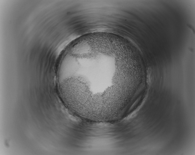 X0000103491117200809261944