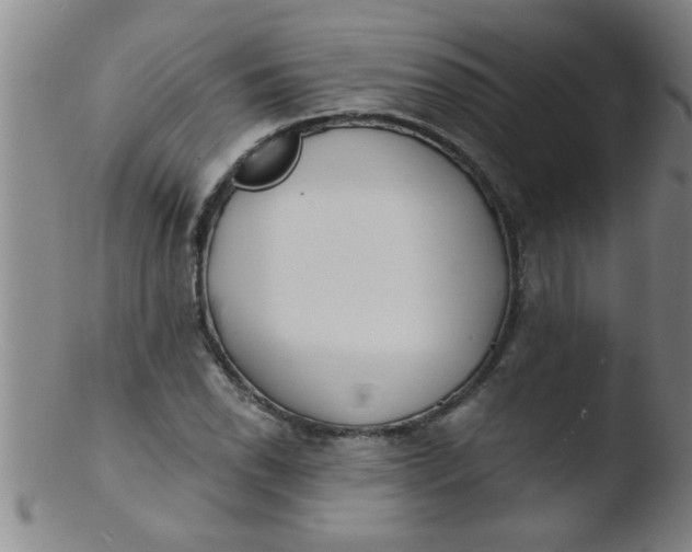 X0000103491118200809261944