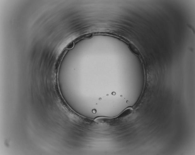 X0000103491119200809261944