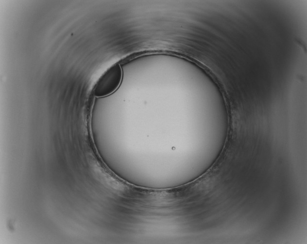 X0000103491120200809261944