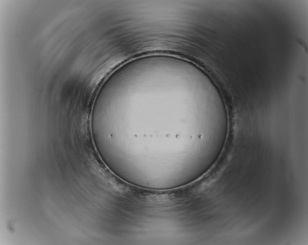 X0000103491121200809261944