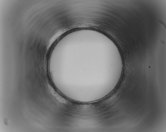 X0000103491122200809261944