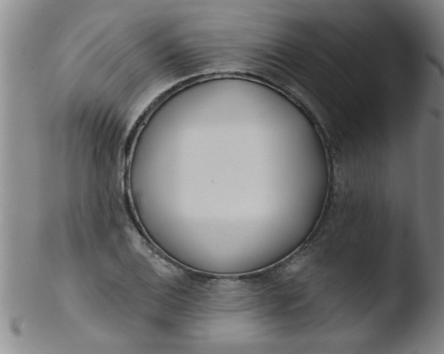 X0000103491124200809261944