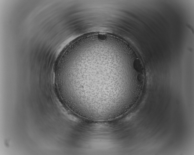 X0000103491125200809261944