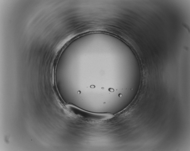 X0000103491127200809261944