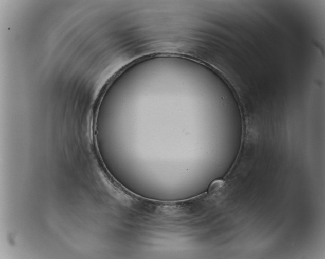 X0000103491128200809261944