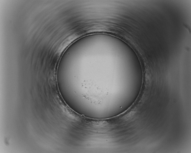 X0000103491129200809261944