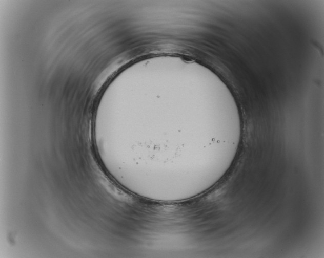 X0000103491130200809261944