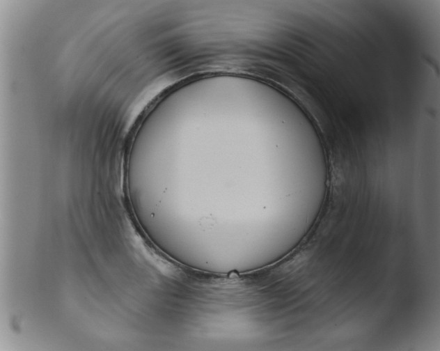 X0000103491131200809261944