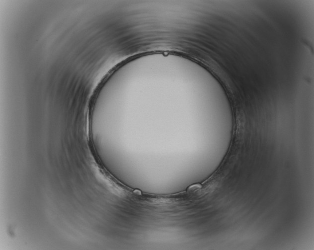 X0000103491132200809261944