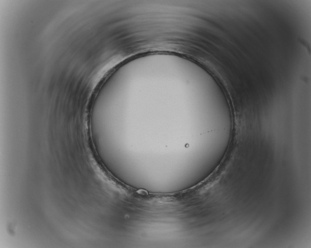 X0000103491133200809261944