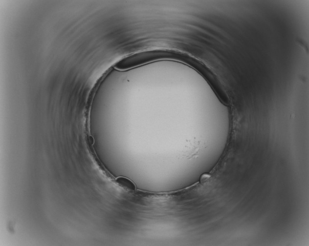 X0000103491134200809261944