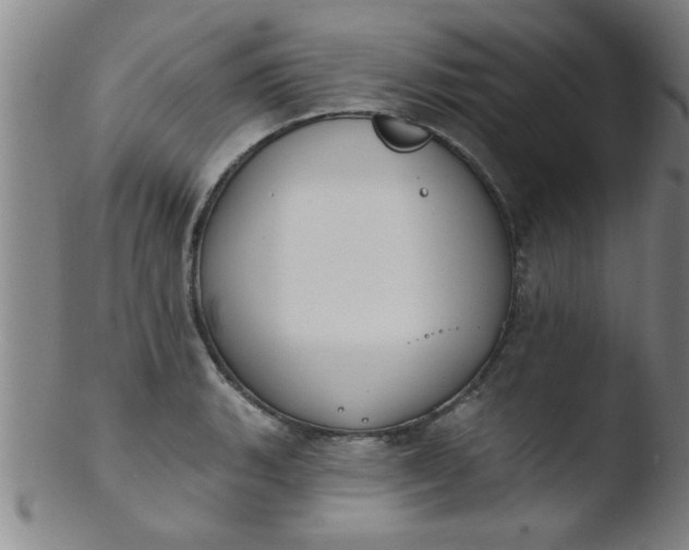 X0000103491135200809261944