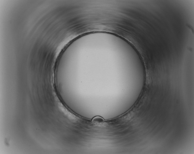 X0000103491136200809261944