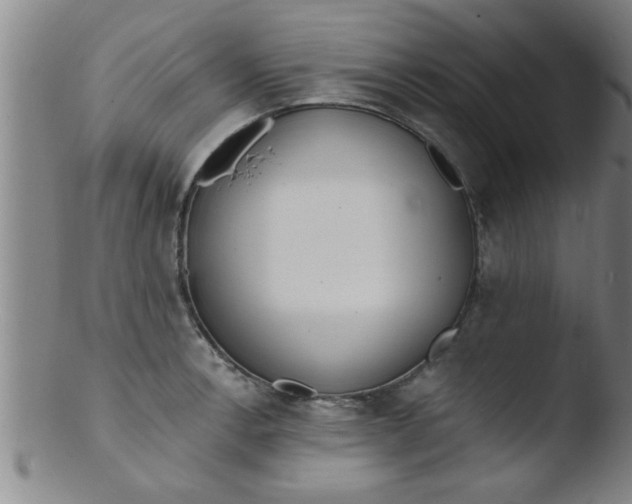 X0000103491138200809261944